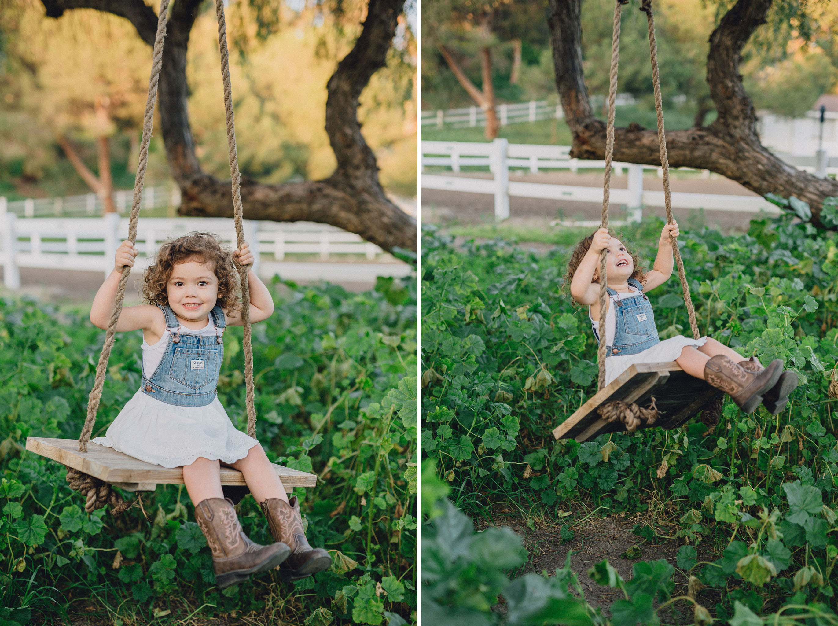 Tree Swing | Palos Verdes