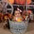 Fall Session 2026 | 12x18_Vazquez_7.jpg