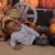 Fall Session 2026 | 12x18_Grace_20.jpg