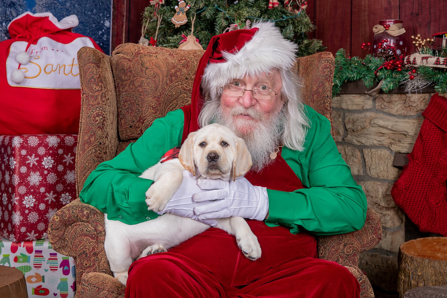 Santa's Experience 2025 | _SAP2965.jpg