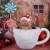 Hot Cocoa Bath Mini Session 2026 | _SAP5226.jpg