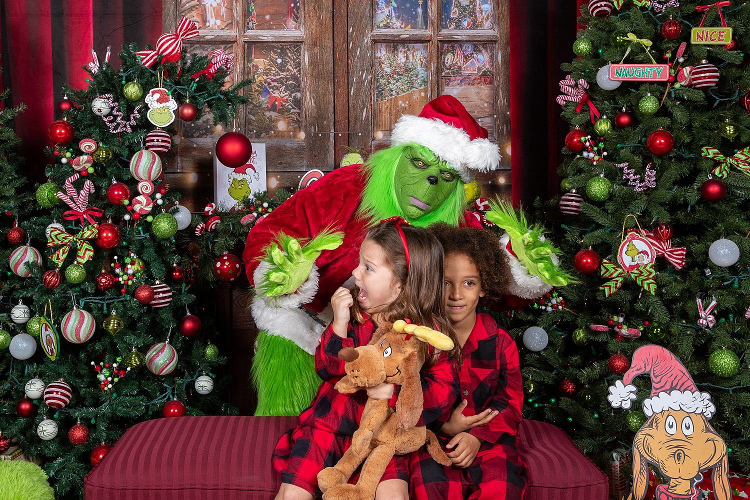 Who Stole Christmas Mini Session 2026 | _SAP0955.jpg