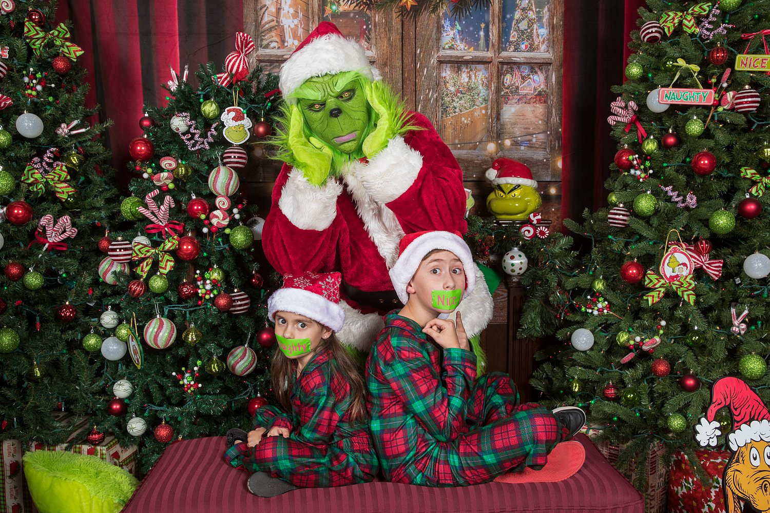 Who Stole Christmas Mini Session 2026 | _SAP3799.jpg