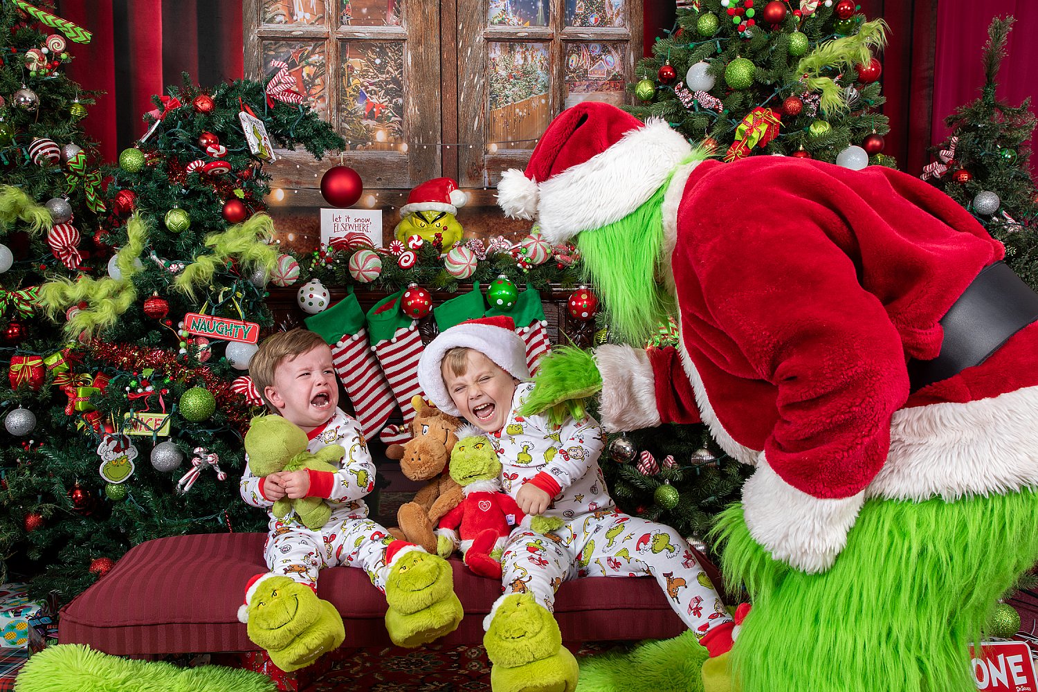 Who Stole Christmas Mini Session 2026 | SAP_9017.jpg