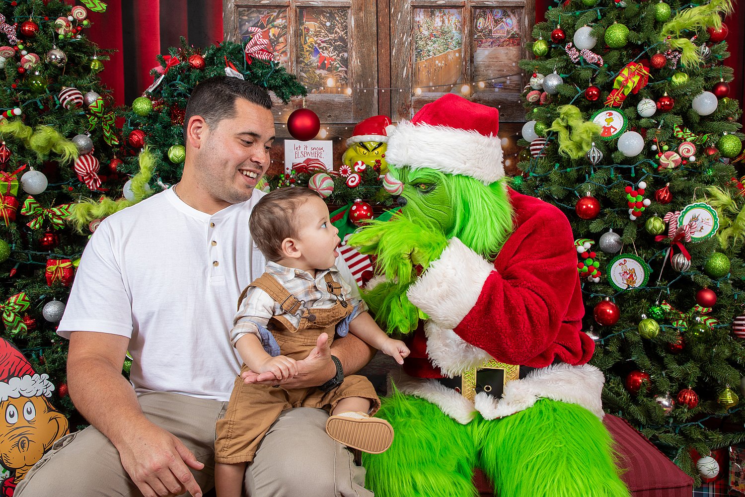 Who Stole Christmas Mini Session 2026 | SAP_2401.jpg