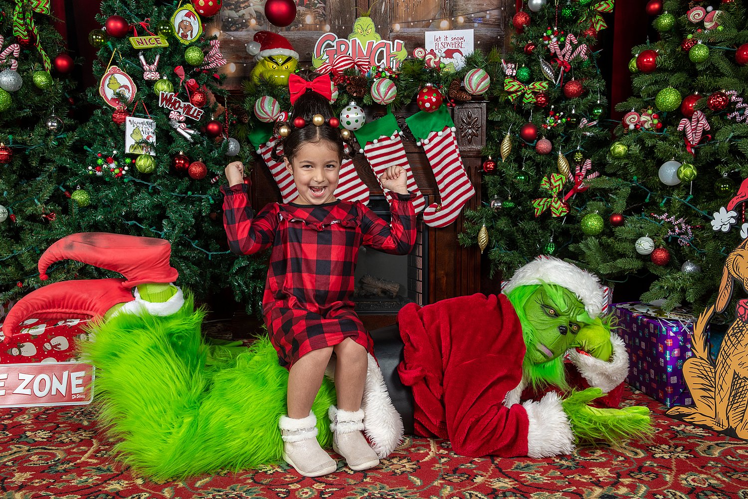 Who Stole Christmas Mini Session 2026 | _SAP1753.JPG