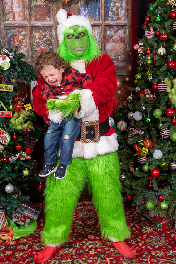Who Stole Christmas Mini Session 2026 | SAP_9436.jpg