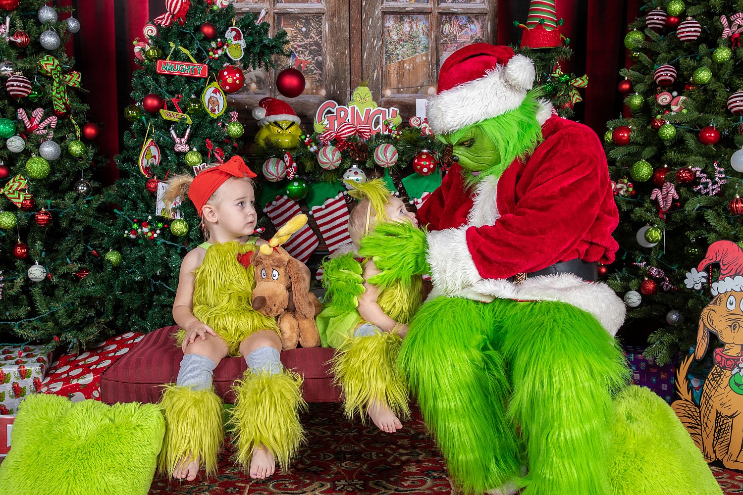 Who Stole Christmas Mini Session 2026 | _SAP2678.JPG