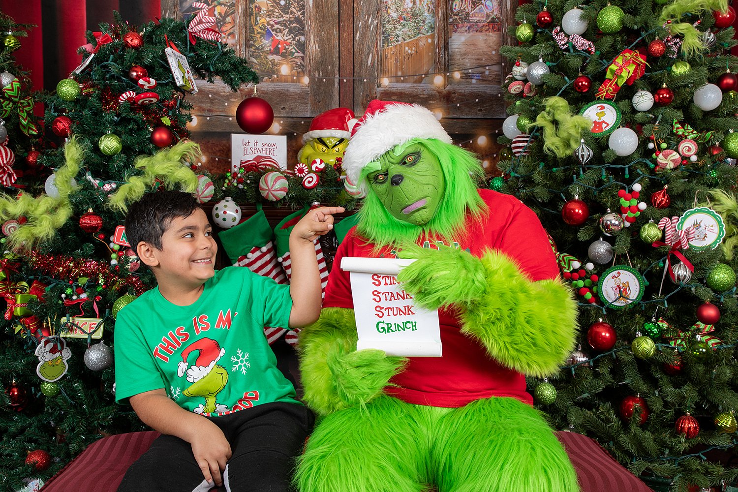 Who Stole Christmas Mini Session 2026 | SAP_0577.jpg