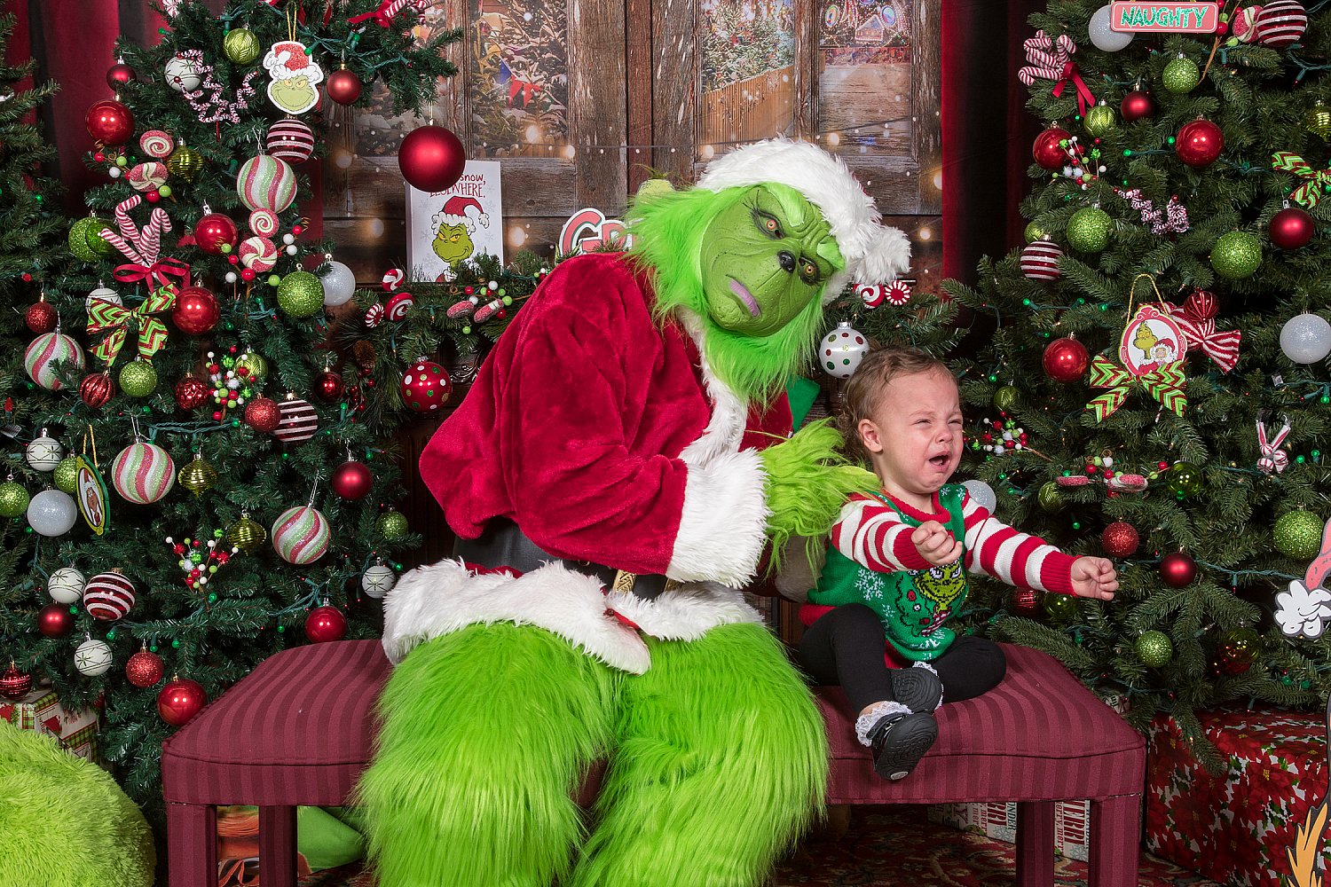 Who Stole Christmas Mini Session 2026 | _SAP1956.jpg