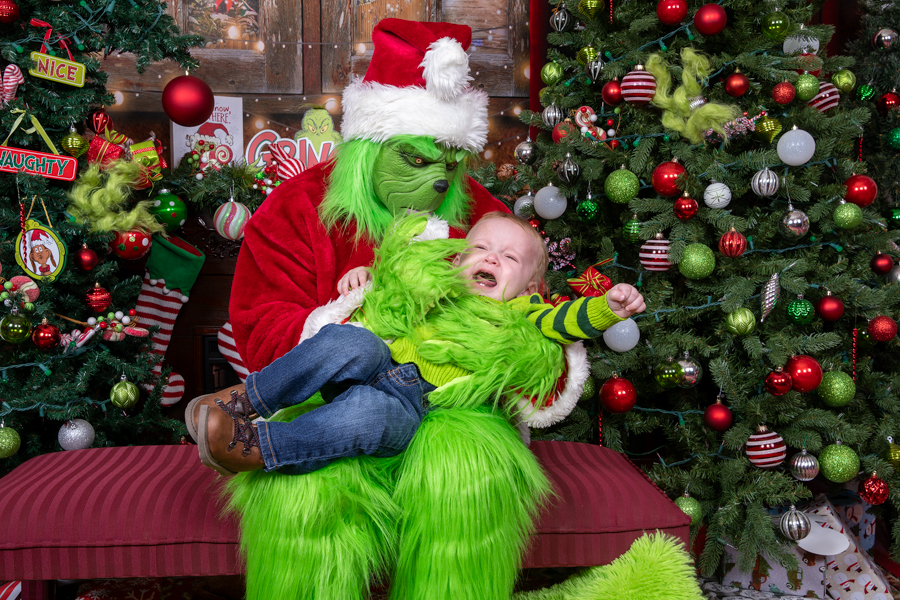 Who Stole Christmas Mini Session 2026 | SAP_1992.jpg