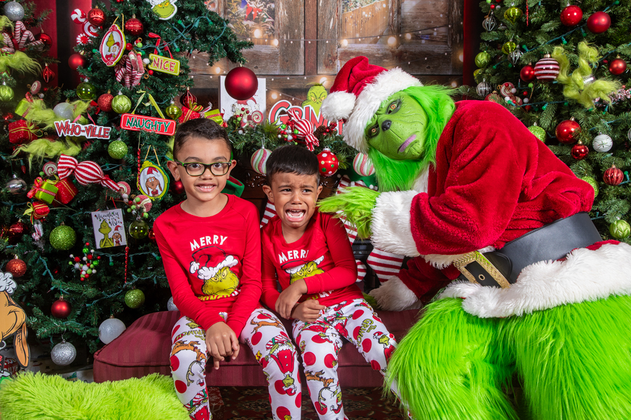 Who Stole Christmas Mini Session 2026 | _SAP0601.jpg