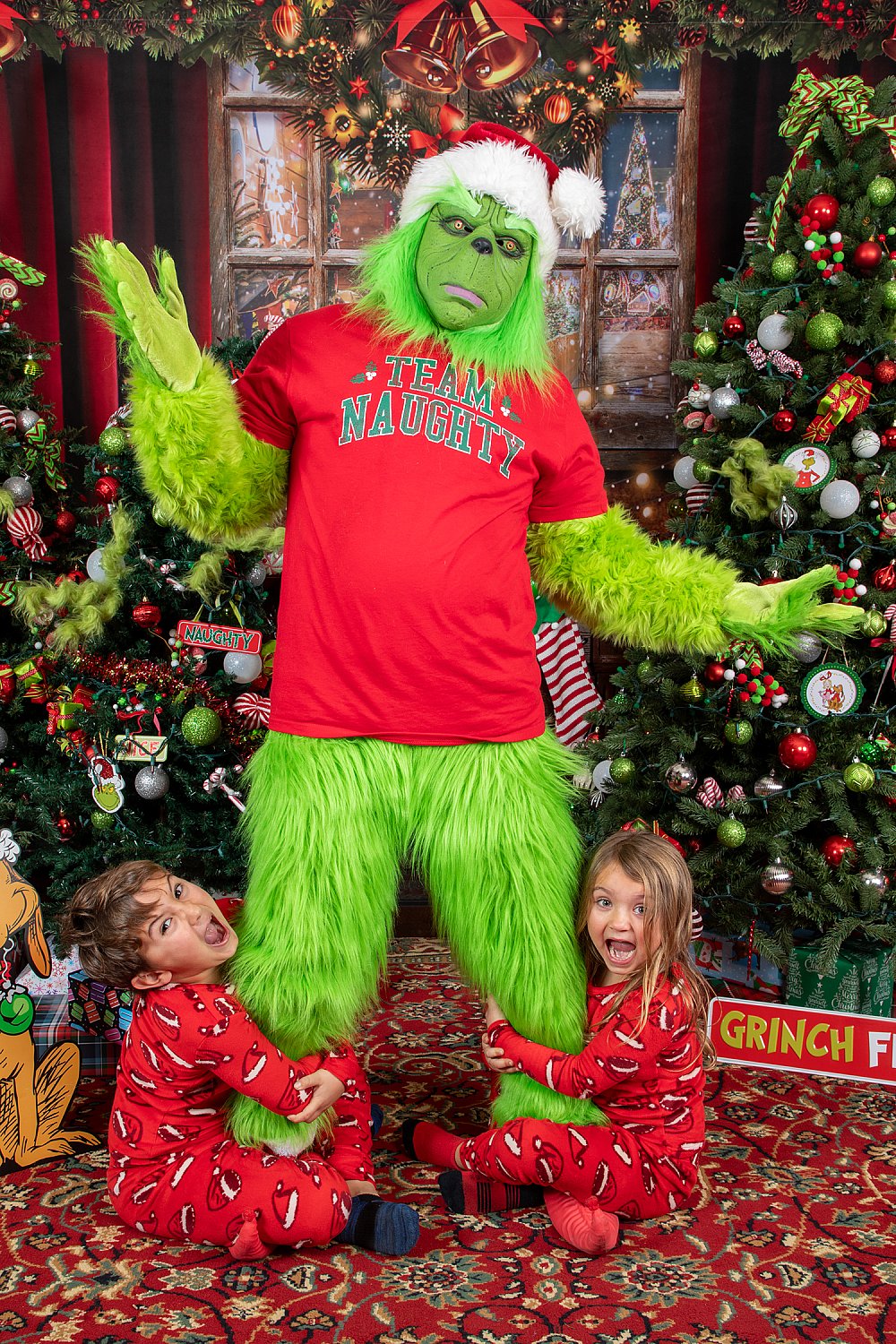 Who Stole Christmas Mini Session 2026 | SAP_7843.jpg