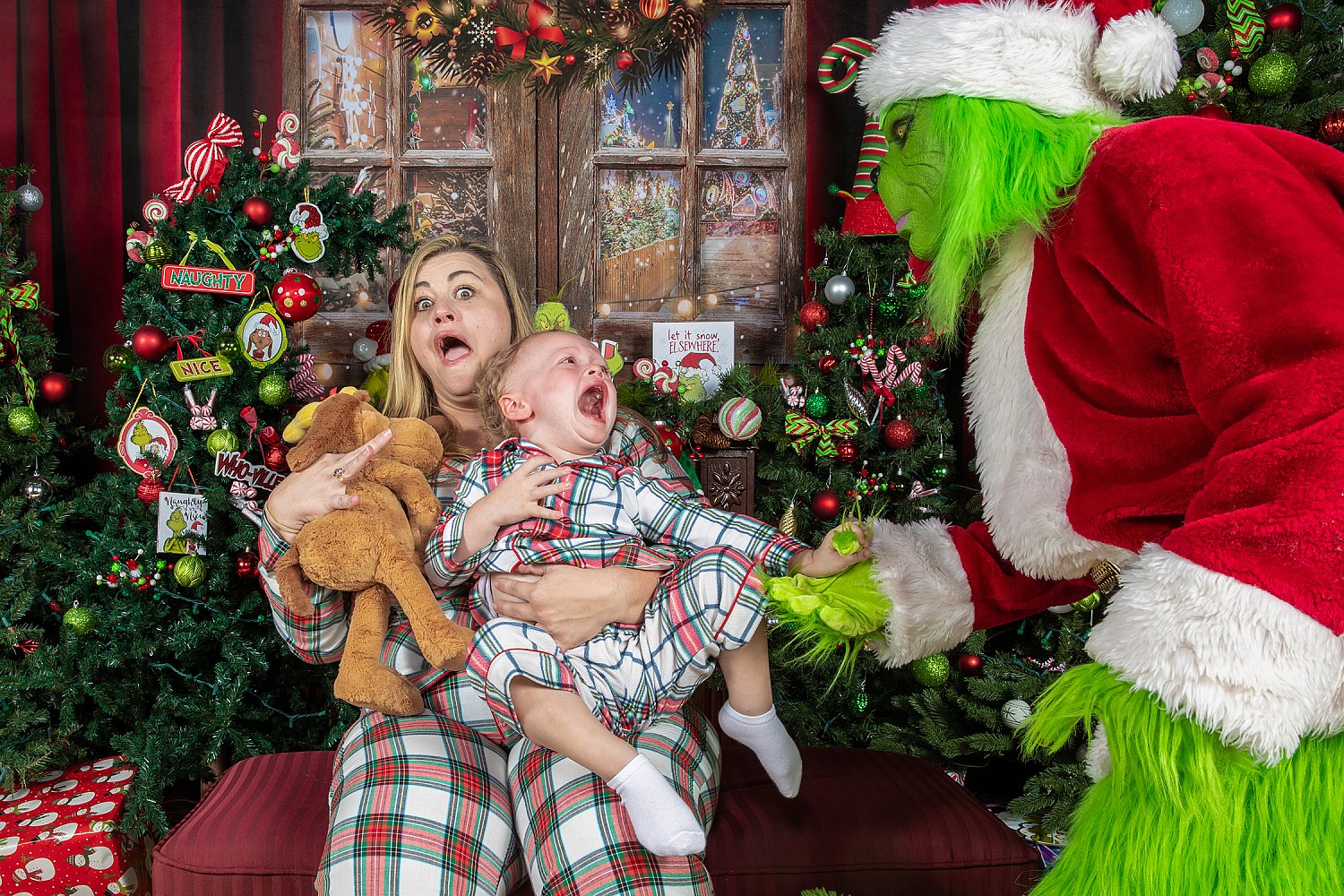 Who Stole Christmas Mini Session 2026 | _SAP1920.JPG