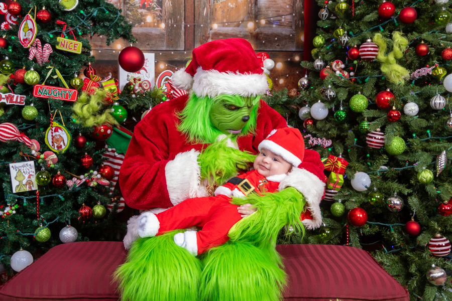 Who Stole Christmas Mini Session 2026 | SAP_3099.jpg