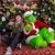 Who Stole Christmas Mini Session 2026 | SAP_9209.jpg