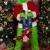 Who Stole Christmas Mini Session 2026 | SAP_9442.jpg