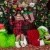 Who Stole Christmas Mini Session 2026 | _SAP1753.JPG