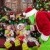 Who Stole Christmas Mini Session 2026 | SAP_9017.jpg
