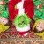 Who Stole Christmas Mini Session 2026 | _SAP1163.jpg
