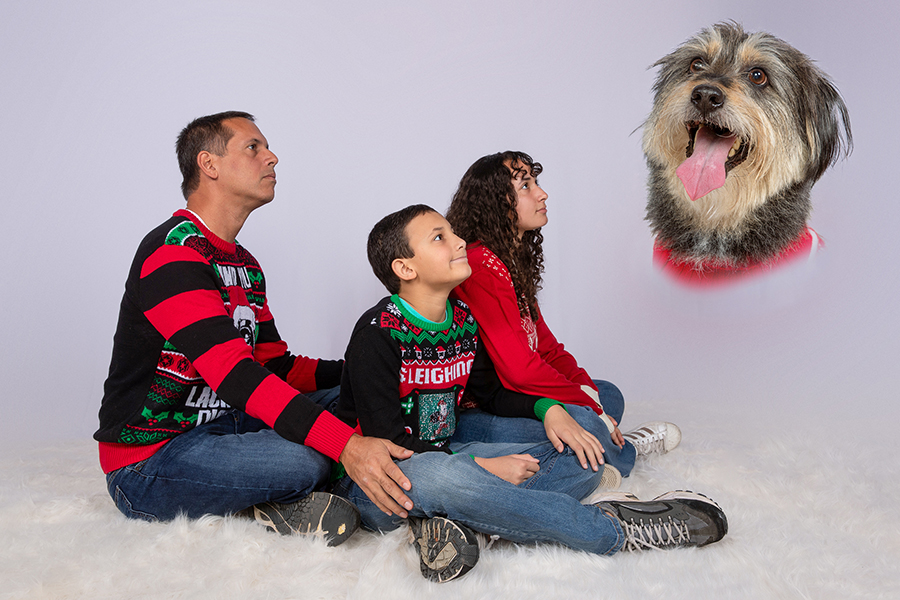 Awkward Christmas Mini Session 2026 | _SAP9864.jpg