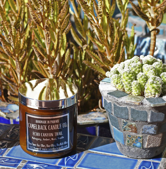 A candle jar sits next to a potted cactus atop a blue tiled wall