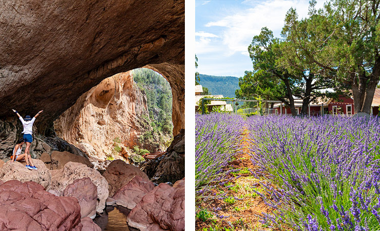 Two images - two hiker stand before an opening of a natural stone bridge. In the other image, a field of lavender sits in front of a red farmhouse.