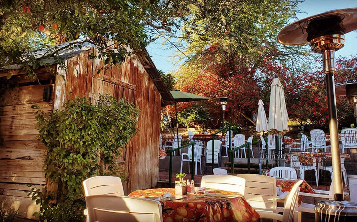 Tables and chairs are set up in a cafe surrounded by trees and greenery, evoking a garden.