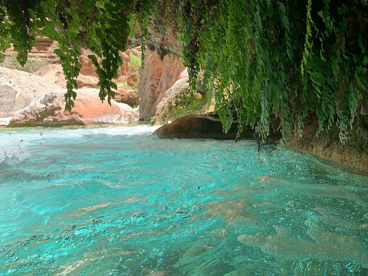 At Havasu Creek hikers can swim in clear aqua pools