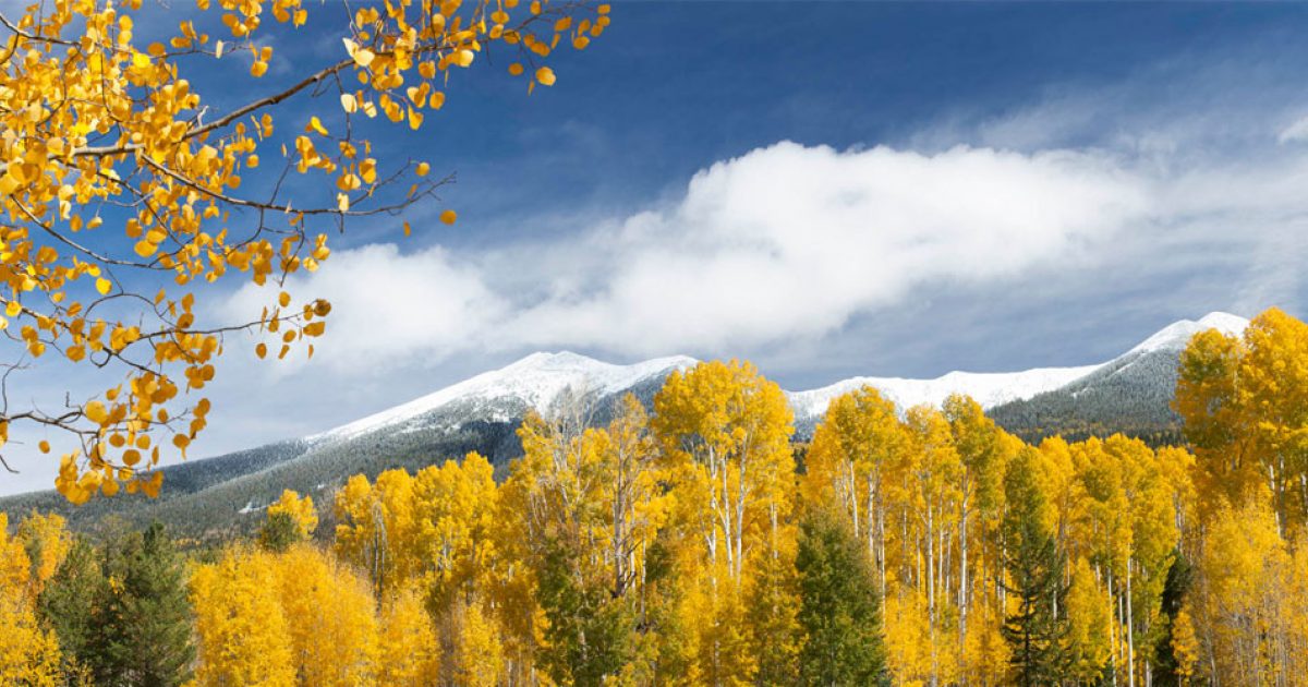 Model Hooker in Flagstaff SEX AGENCY in Flagstaff