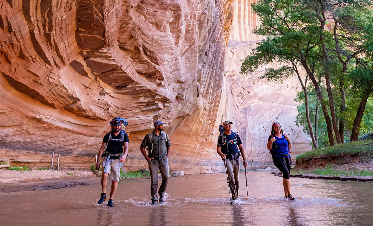 Campers hiking in Canyon de Chelly with Navajo Guide, Chinle