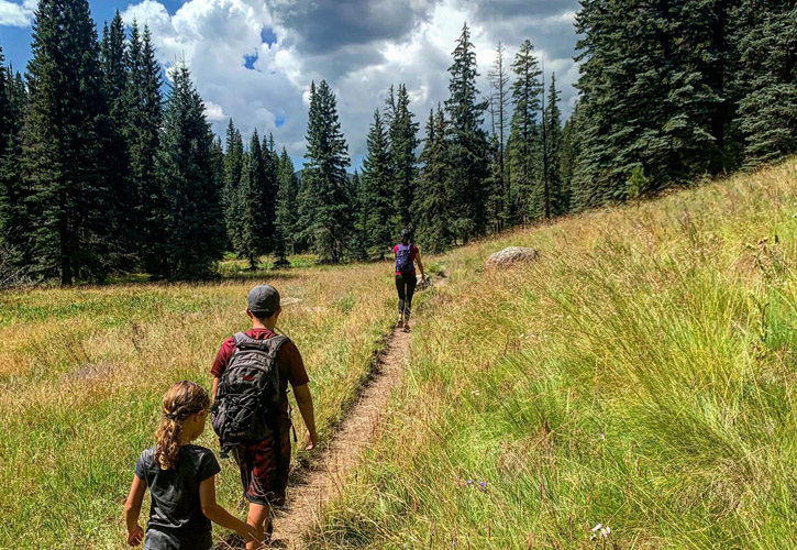 Two children follow a woman up a grassy trail into a forest of trees