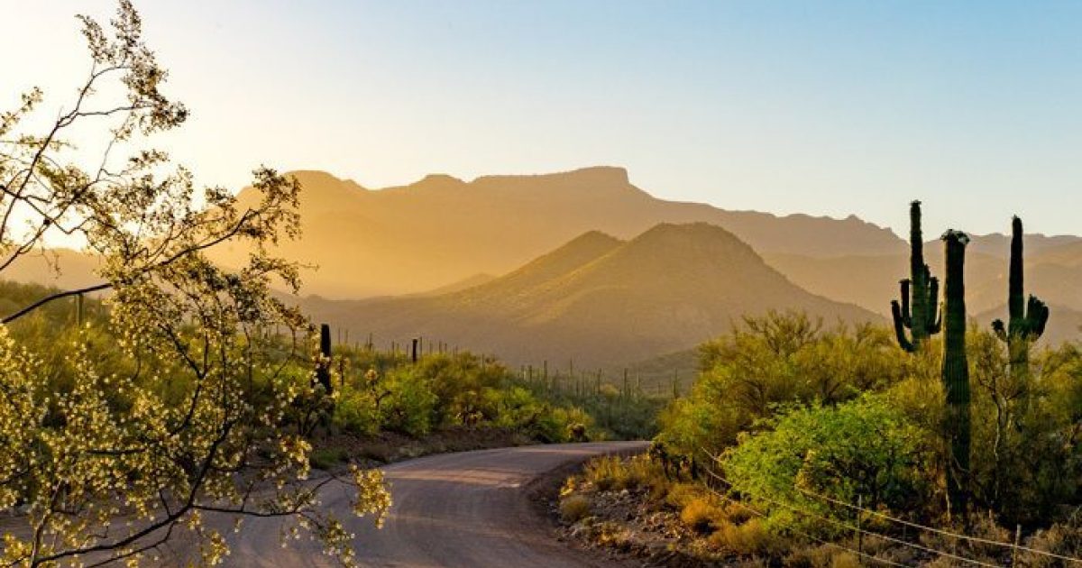 7 Ways To Wellness Arizona Style Visit Arizona