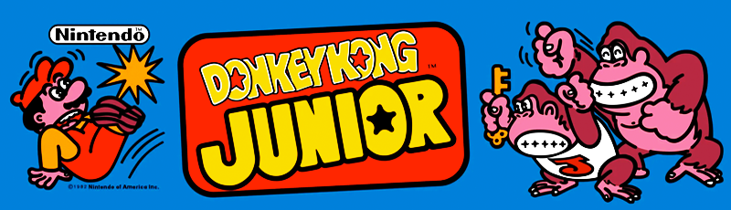 Donkey Kong Junior