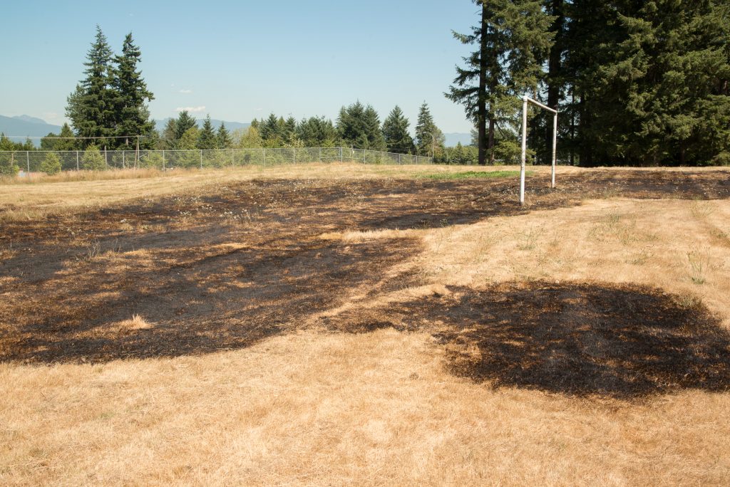 The recent spell of hot weather has caused very dry conditions in Surrey, increasing the risk of brush fires. Despite last weekend’s rainfall, the local forests and grasslands remain extremely dry and can easily be set ablaze by discarded cigarettes or other burning objects as evidenced by this grass fire which got started near the Anniedale School near 176th and the Trans Canada Highway.    Photo by Ray Hudson