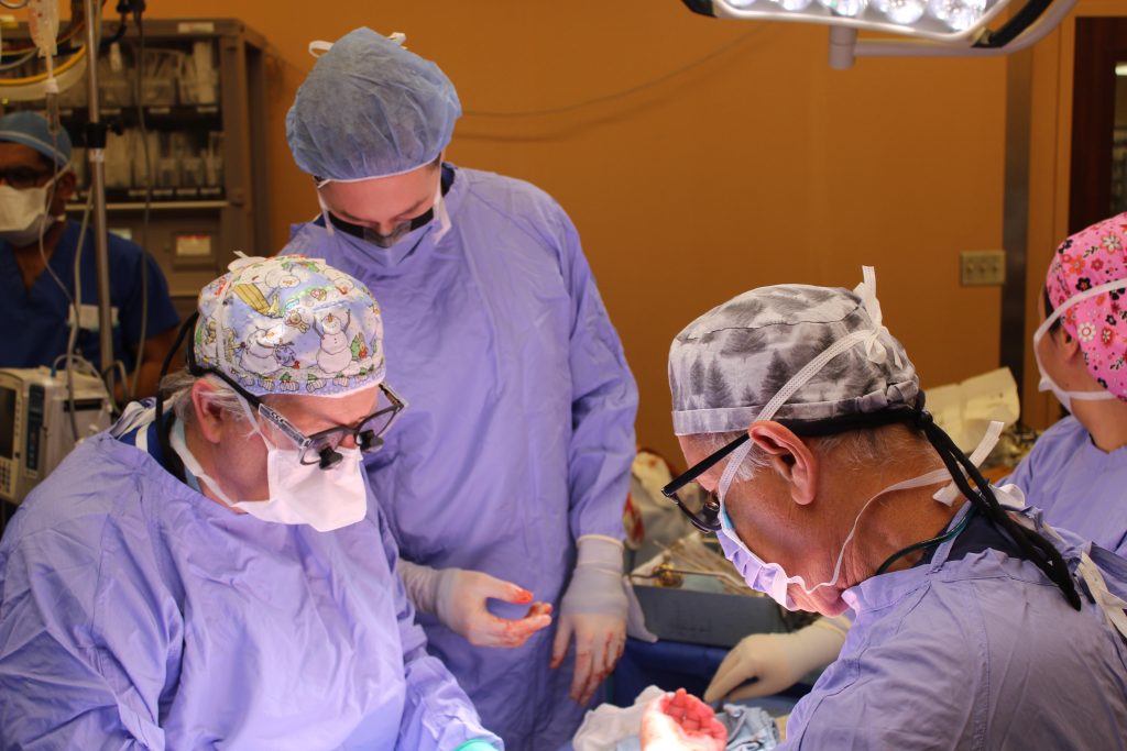 With the arteries and blood vessels complete, Dr. McCabe (l) and Dr. Ronald Zuker (r) – one of the original pioneers of microsurgery – begin to attach the nerves. Nerve fibres, like hair, grow about 1mm per day. It is expected the patient will start to have feeling in her transplanted hand 200 days after the surgery. (Photo: University Health Network)