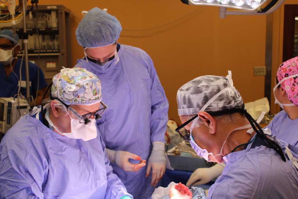 With the arteries and blood vessels complete, Dr. McCabe (l) and Dr. Ronald Zuker (r) – one of the original pioneers of microsurgery – begin to attach the nerves.  Nerve fibres, like hair, grow about 1mm per day. It is expected the patient will start to have feeling in her transplanted hand 200 days after the surgery.  (Photo: University Health Network)