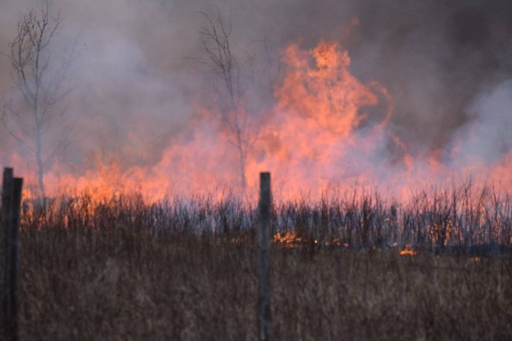 Photo: Alberta Wildfire