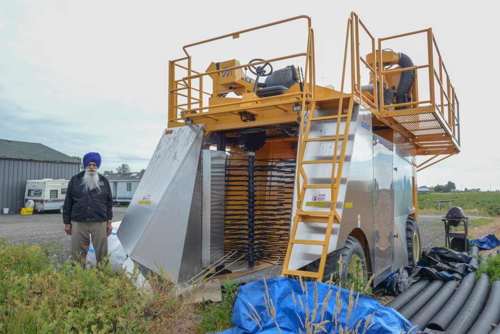 Ajit Singh Badh stands beside his blueberry picker ready for operation on the second pick. Photos: Ray Hudson