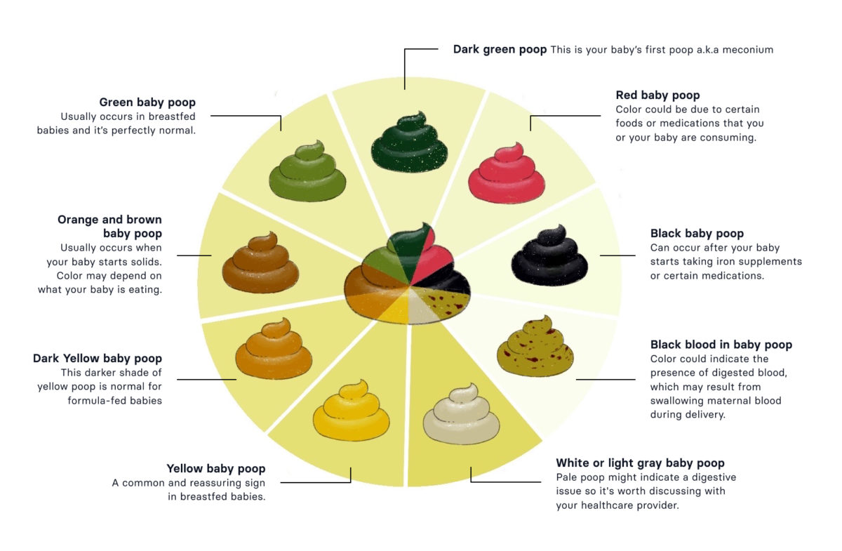 Baby poop guide for parents