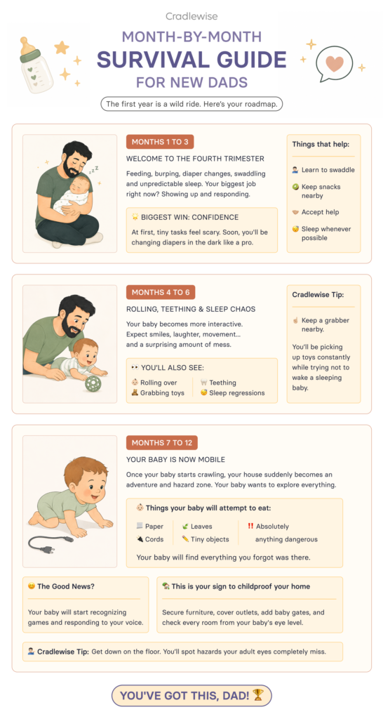 Infographic that serves as a roadmap to the first year of you being a dad, how your newborn's needs and behavior will change and how you can cope.