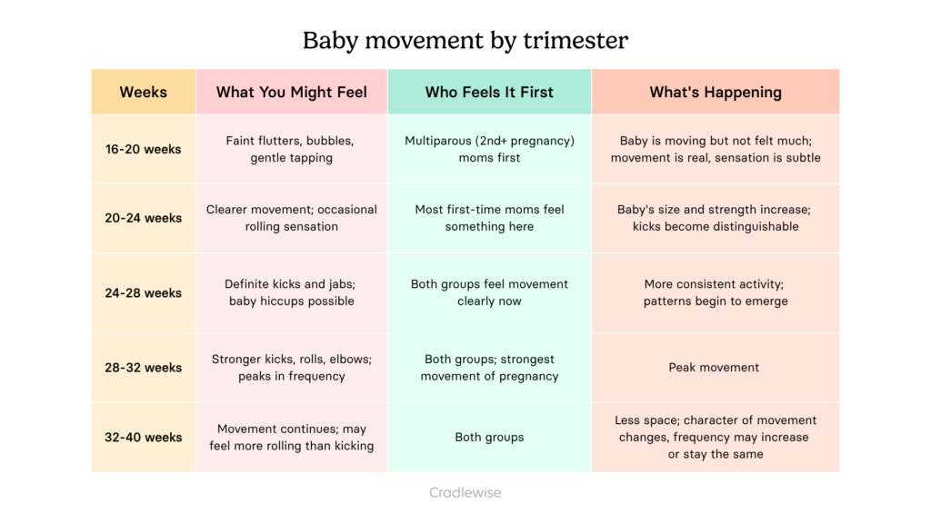 Graphic table on baby movement by trimester showing at what weeks of pregnancy do you feel your baby's kicks and movements, and the level of intensity.