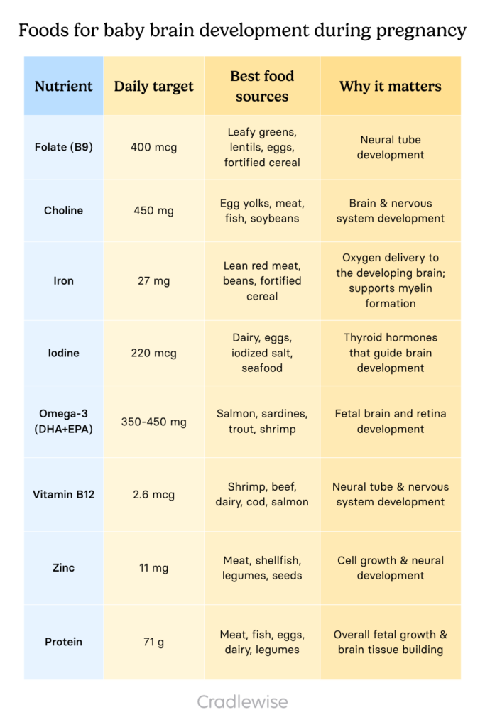 Foods for baby brain development during pregnancy table showing the nutrients, their daily target, best food sources, and why they are important