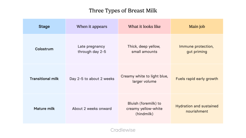 Three types of breast milk table showing 3 stages of milk like colostrum, transitional milk, and mature milk, and when it appears, what it looks like and how it helps