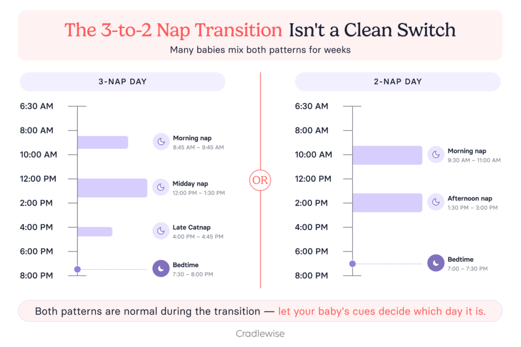 Graphic showing the transition from 3 to 2 naps for a 8 month old baby