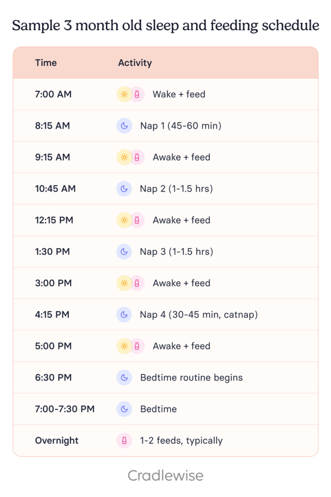 Graphic on sample 3 month old sleep and feeding schedule