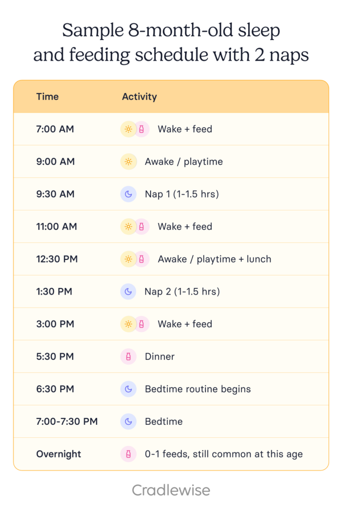 Graphic showing a sample 8 month old sleep and feeding schedule with 2 naps