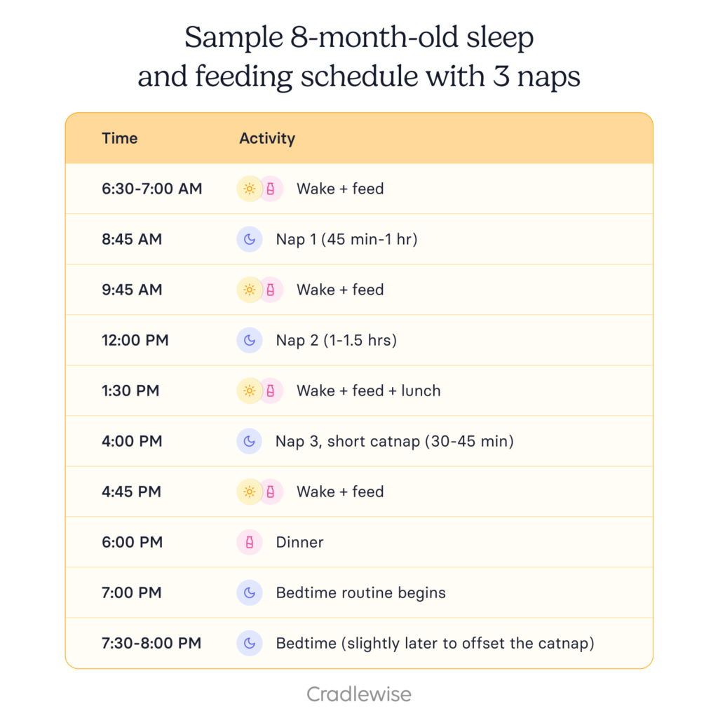 Graphic showing a sample 8 month old sleep and feeding schedule with 3 naps
