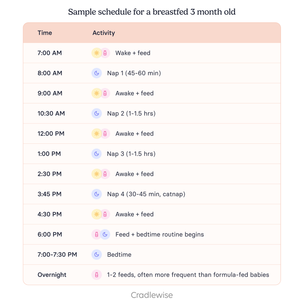 Graphic on sample feeding and sleeping schedule for a breastfed 3 month old baby