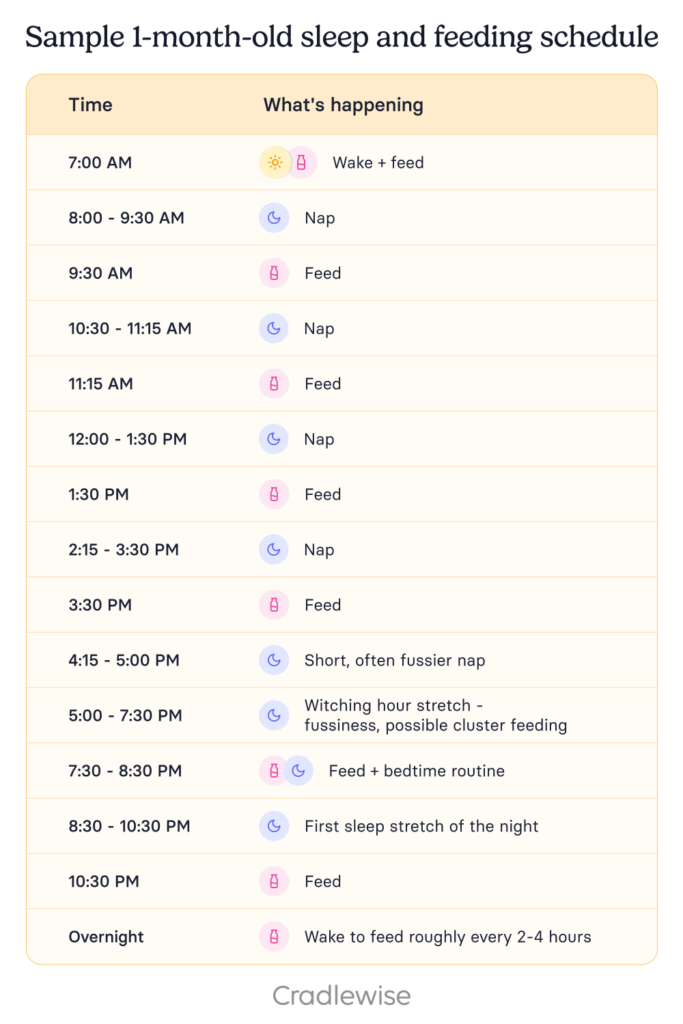 Graphic on sample 1-month-old sleep and feeding schedule with wake windows, nap times and feeding pattern